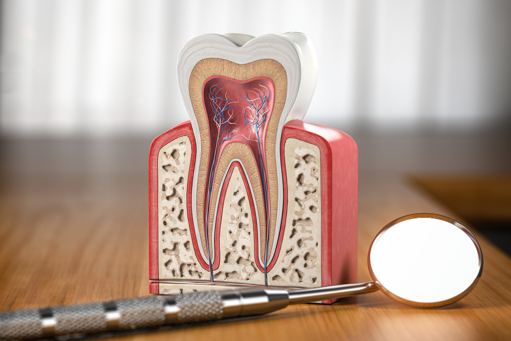 Root Canals Green Valley, AZ